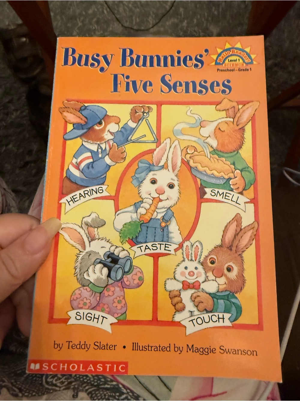 Scholastic Busy Bunnies' Five Senses Children’s Paperback Book